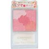 Canmake Glow Fleur Cheeks 02 Apricot Fleur 1