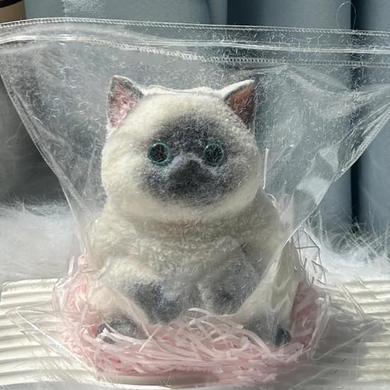 Реалистичная игрушка для кошек, сжимающая медленно восстанавливающийся мягкий TPR, снимает стресс, беспокойство, портативная для детей, подростков, взрослых, котят, животных, сжимающих сенсорную игрушку-фиджет