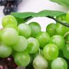Party Garden Decorative Lifelike Wedding Simulation Grapes Home Decor Artificial Fruit