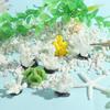 Tank Ornaments Aquarium Decor Resin Reef Rock Artificial Coral Landscape Making Simulation Starfish