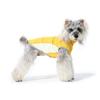 Quick-drying Pet Cooling Vest Thin Breathable Pet Sunscreen Clothes  Summer Season