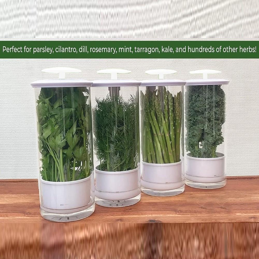 Anti-pressure Longer Fresh Herb Keeper Vegetables Preservation Bottle Cilantro Parsley Basil Mint