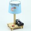 DIY Science Table Lamp Kit for Elementary Students - Handmade Physics Experiment Teaching Aid