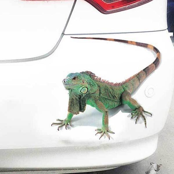 Стильные милые крутые 3D наклейки на автомобиль в виде паука, мультяшные креативные наклейки для украшения, ARI