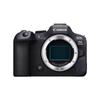 Canon Беззеркальная полнокадровая камера EOS R6 Mark II (Китайская версия)