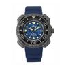 PROMASTER Diver's Eco Drive Super Titanium BN0227-09L