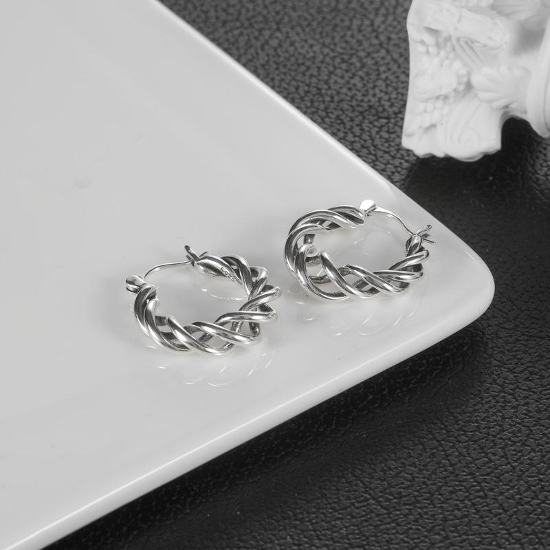 Wrapped Earrings Women's Fashion Ins Style Niche Design Premium Ear Buckles