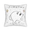 Protect Jimothy Raccoon Square Pillow Case Polyester Decorative Pillow  Customized Pillowcover Home Decor