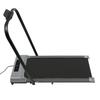 2-in-1 Folding Treadmill Electric Walking Jogging Machine Under Desk Treadmill