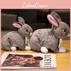 Toy Rabbit Plush Cartoon Stuffed Doll Animal Room Decoration Kids Cute Gift