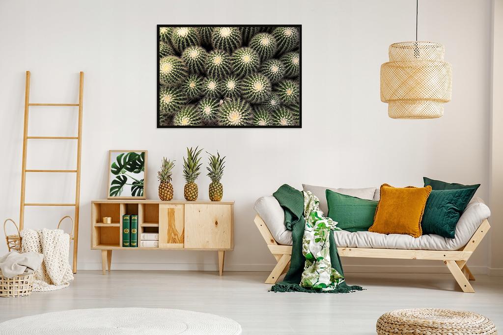 Picture poster In a frame 53x73 cm Cacti P1058