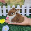 1/5Pcs Plush Rabbit Figurine Realistic Simulation Bunny Model Lifelike Artificial Fur Animal Miniature Home Office Easter Desktop Decoration Ornament