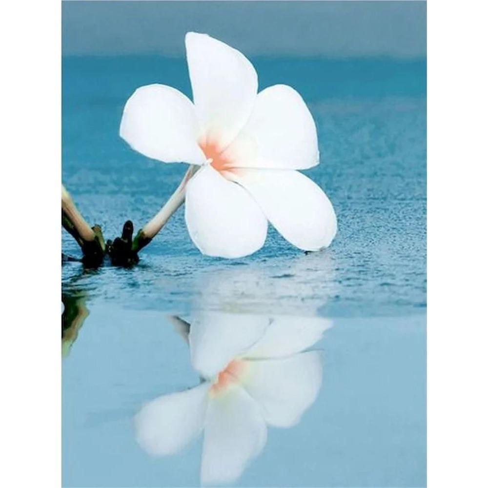 Алмазная картина, полная дрель, белый волк, цветок, животное, алмазная живопись, ручная работа, пейзаж, сделай сам, алмазная мозаика, картина, украшение дома