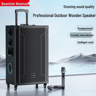 Newman N538 15-дюймовая мощная портативная караоке-колонка, штекер CN (адаптер в комплекте)