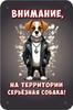 Металлическая табличка Осторожно Злая собака 30x20см Шпиц