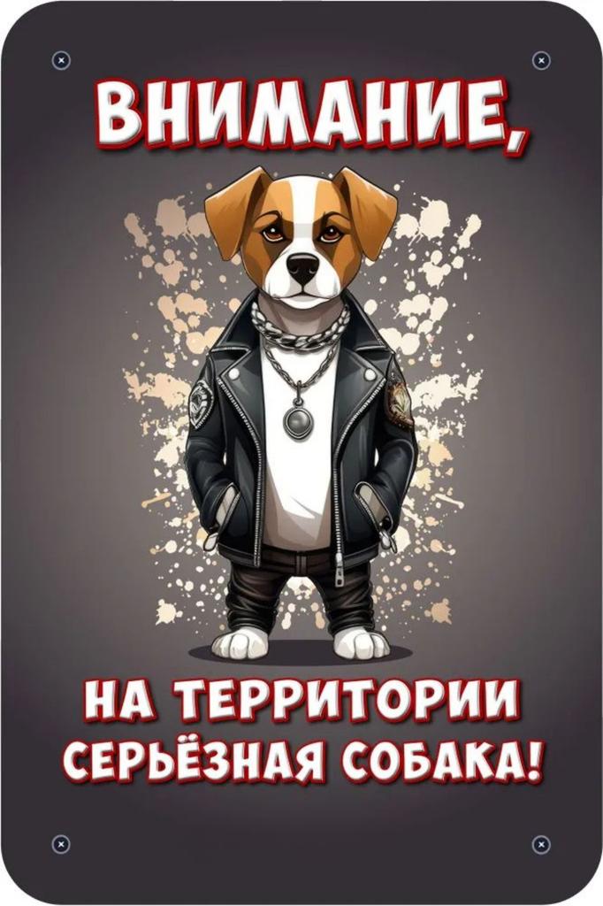 Металлическая табличка Осторожно Злая собака 30x20см Шпиц