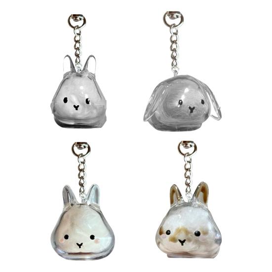 1/4Pcs Pet Rabbit Hair Keychain Keepsake Capsule Memorial Pendant Hair Storage Bottle Transparent Pet Hair Key Chain
