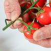 Foam Artificial Tomatoes String Lifelike Hanging Fake Fruit Props Handicrafts Farmhouse Simulation Tomatoes Model Home Decor