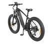 DYU KING 750 48V 750W Electric Bike - 110km Pedal Assist, 45km/h Speed & 25" All-Terrain Wheels