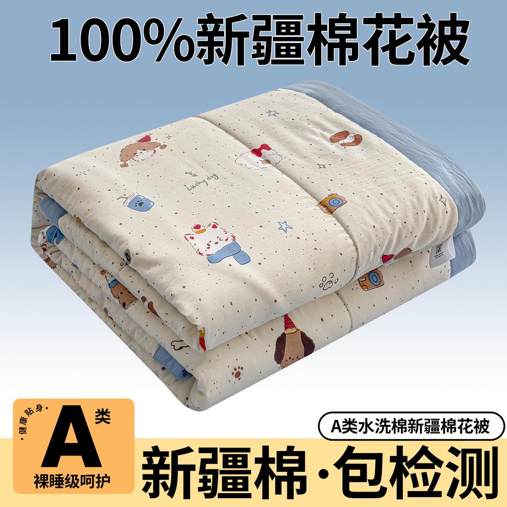 100% Cotton Filling Summer Quilt