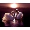 DIY 5D Diamond Painting Swan Animal Mosaic Full Round Diamond Embroidery Landscape Lake Rhinestone