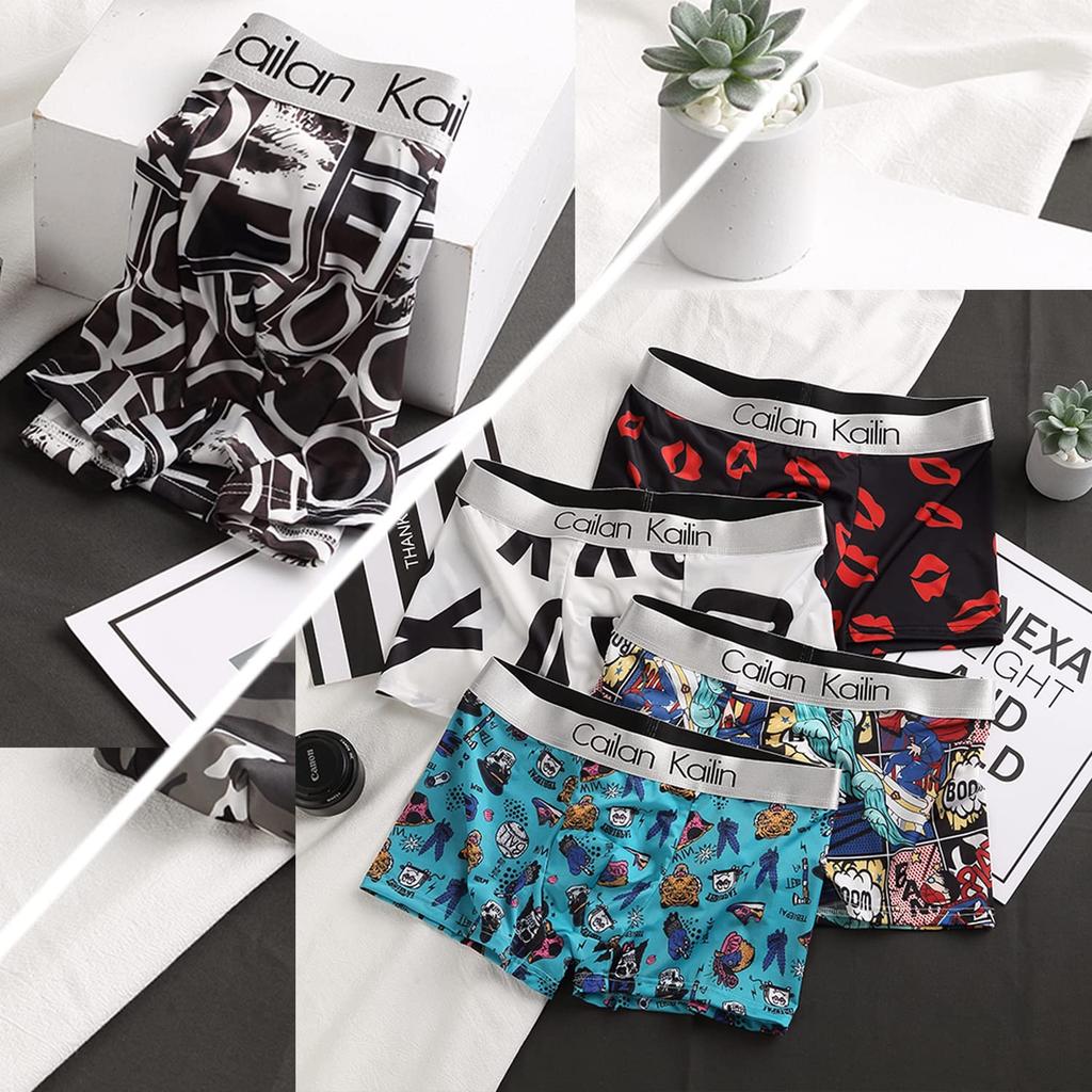 Мужской набор боксеров-брифов из 5 штук Amtop, с передней застежкой, дышащие, влагоотводящие, быстросохнущие, антибактериальные и устойчивые к запаху, с низкой посадкой (C4-L)