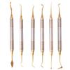 6Pcs Dental Composite Resin Filling Spatula Double Heads Mixing Carving Spatula Titanium Plated Head Filler