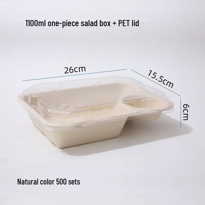 Eco-friendly Three-Compartment Disposable Bento Box – Microwaveable Paper Lunch Container for Salads and Light Meals