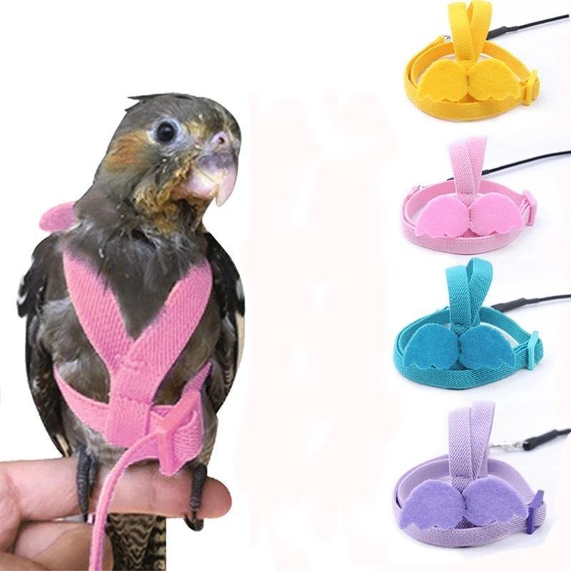 Parrot Harness and Leash Set Adjustable Outdoor Flying Training Rope with Wing for Small Medium Birds Cockatiel, Macaw, Budgie