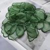 10Pcs Green Semi Transparent Embroidered Lace Flowers Patches Applique Clothing Patch Decoration