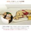 Revere Disney Winnie the Pooh Blanket Single Blanket Newmeyer Blanket Warm Warm Washable Cute Showa Nishikawa