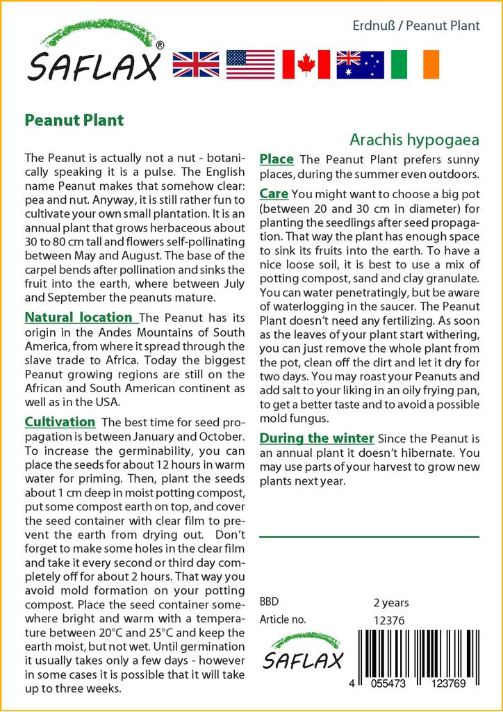 SAFLAX Арахисовое растение - 8 семян - Arachis hypogaea