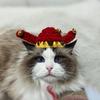 Теплая вязаная шапка для питомца в китайском стиле, берет для питомца, милая головная повязка в виде головы счастливого кота, Рождество, Новый год