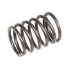 Valve Spring Rato Engine R60I 12103-Z900110-00A0