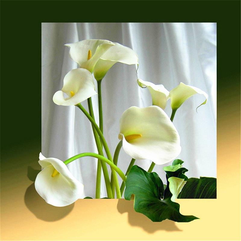 Новое поступление Алмазная картина Роза полная круглая дрель Алмазная вышивка распродажа цветок вышивка крестиком домашний декор ремесленный комплект