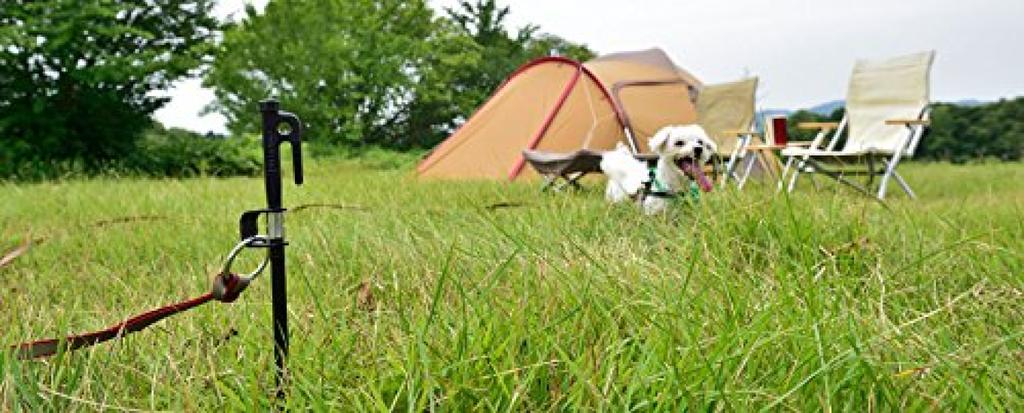 Snow Peak Dog Anchor PT-032