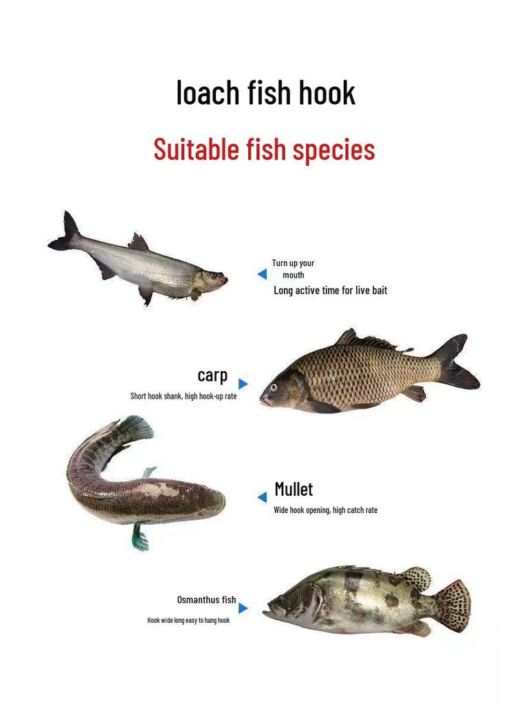 8003 Dragon Scale Soft Bait Hook: Reinforced Wacky, Drop Shot for Perch, Pike, Bass