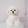 Warm Winter Dog Dress Teddy Poodle Shih Tzu Small Breeds Floral Cotton Skirt Princess Style Pet Clothing