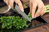 GLASS CUTTING BOARD 45x52 Kitchen