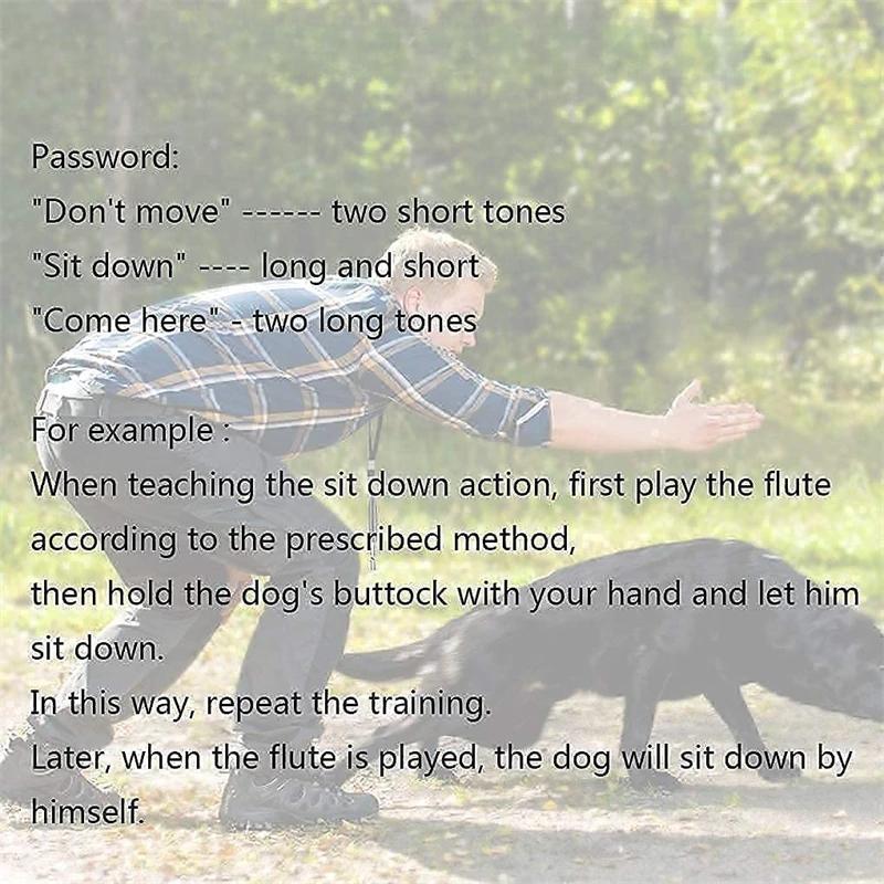 Ультразвуковой регулируемый свисток для дрессировки собак – бесшумный свисток для прекращения лая и обучения подзыву собак