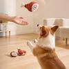 Squeaky Dog Toys for Small and Medium Dogs Plush Bite-Resistant Chew Toy with Sound Interactive Pet Toys for Teeth Cleaning and Boredom Relief