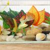 Decoration Fish Tank Hammock Betta Leaf Simulation Fish tank Plants Aquatic Plants
