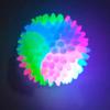 Светящийся шар, игрушка для собаки, светодиодные шарики для собак, мигающие эластичные молярные шарики, цветной свет для домашних животных, интерактивные игрушки для щенков, кошек, собак
