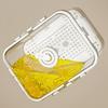 Picnic Box Clear Food Storage with Drain Plate for Easy Outdoor Use