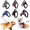 Dog Collars Choker Collar Harness Leash Gps Training Harnesses and Wears Necklaces Lanyard Big Retractable Dogs Accessory Things