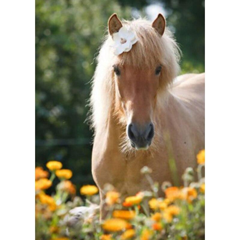 Новый 5D DIY пейзаж алмазная живопись Лошадь Алмазная вышивка животное вышивка крестиком полная круглая дрель домашний декор ручной подарок