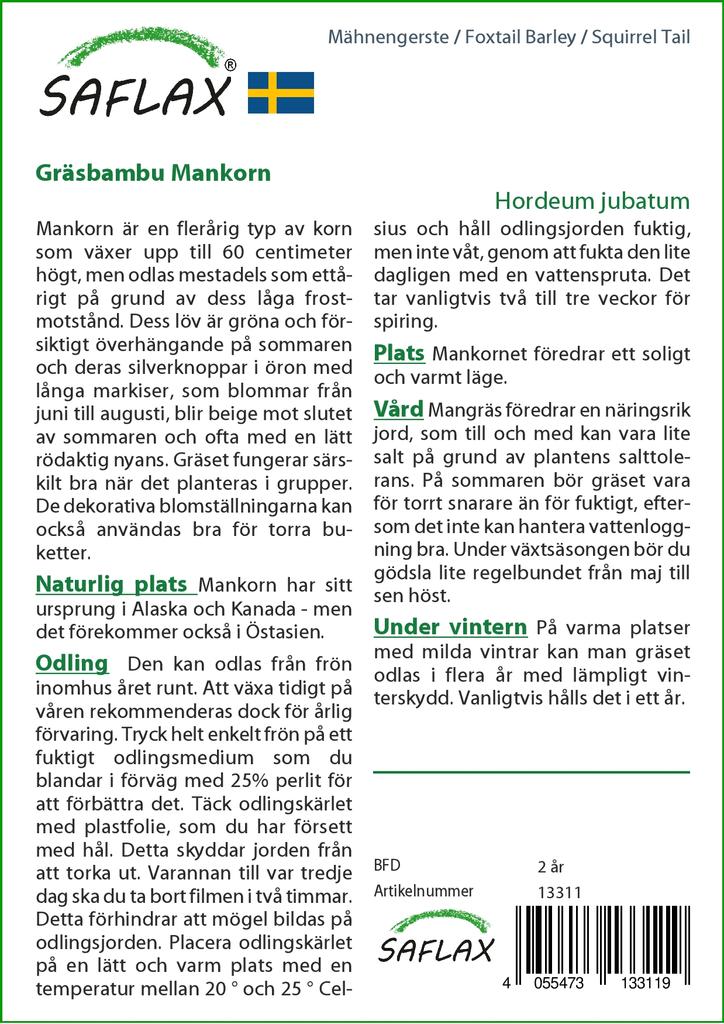 SAFLAX Лисохвост Ячмень / Беличий Хвост - 70 семян - Hordeum jubatum