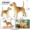 Kids' Wild Animal Figures: Lion, Tiger, Cow, Goat, Rhino, Horse, Leopard, Elephant - Plastic Educational Toys
