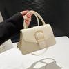 Portable Small Square Bag Fashionable and Beautiful Spring New Light Luxury Simple Niche Design Retro Shoulder Messenger Bag