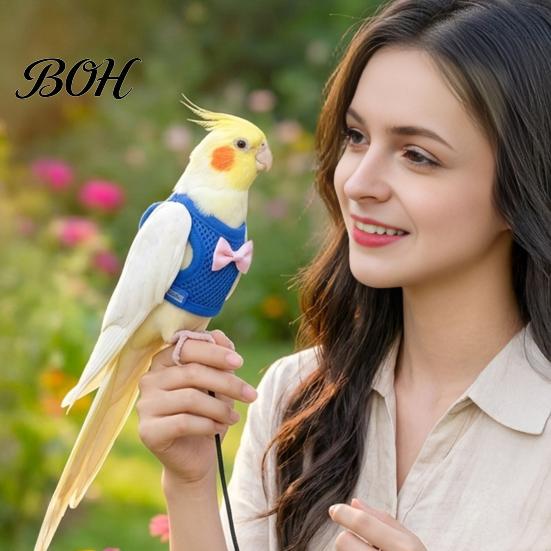 Small Animal Travel Equipment Bird Harness And 2m Leash, Parrot Vest, Breathable Mesh Flight Cockatiel Walking Accessory Suit, Escape Resistant Chest